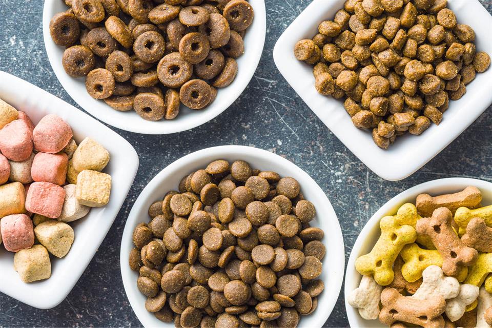 Selecting food and water bowls